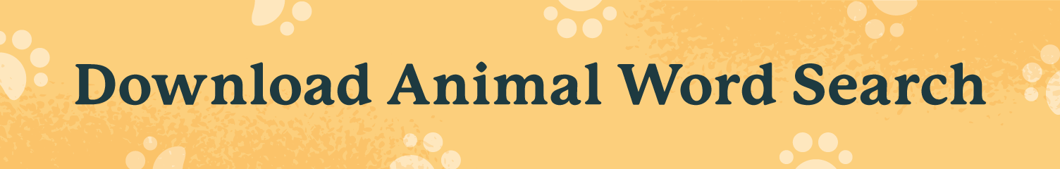 download animal word search